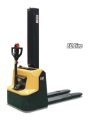 Cat NSP12Q2LM